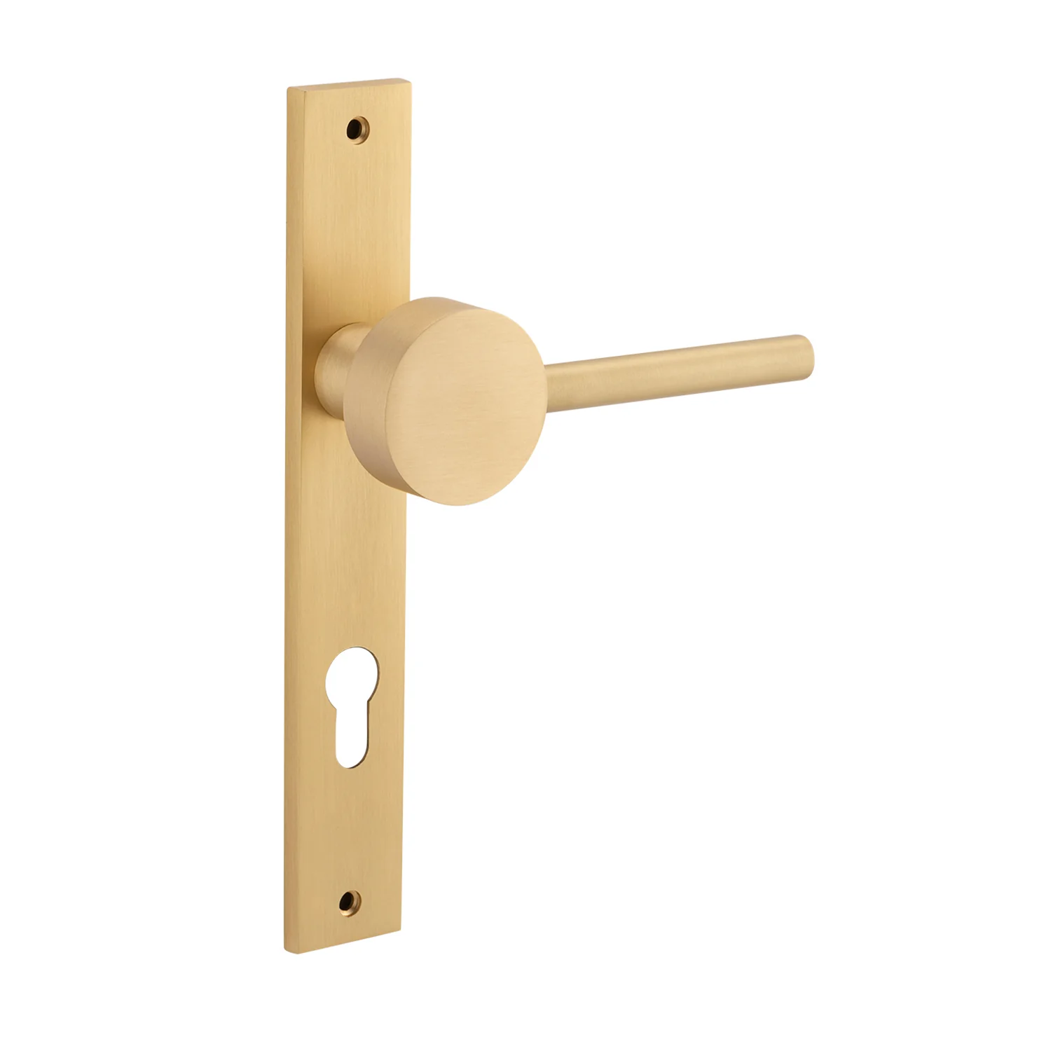 Bankston Sans Arc Gepetto Door Lever on Rectangular Backplate - Image 12