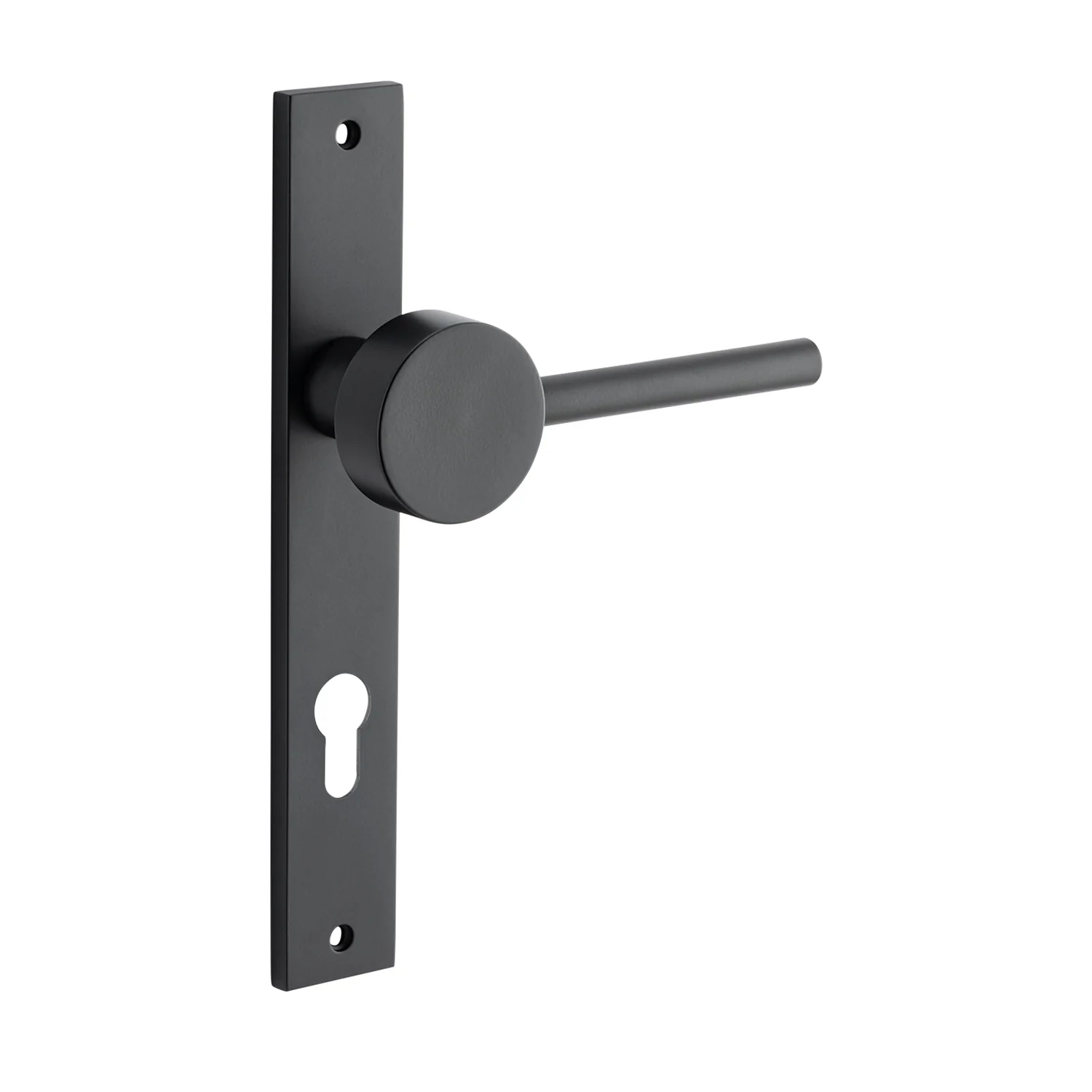 Bankston Sans Arc Gepetto Door Lever on Rectangular Backplate - Image 6