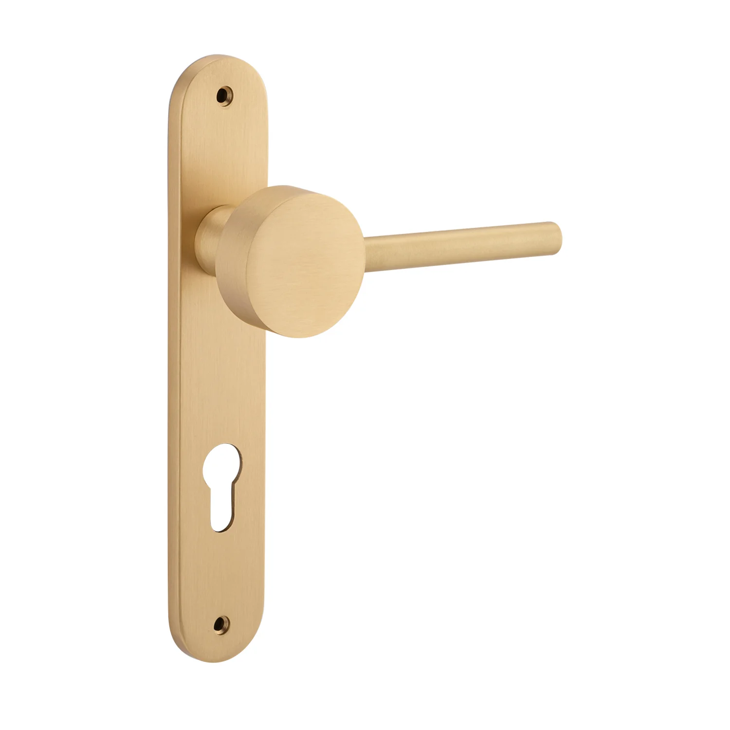 Bankston Sans Arc Gepetto Door Lever on Oval Backplate - Image 14