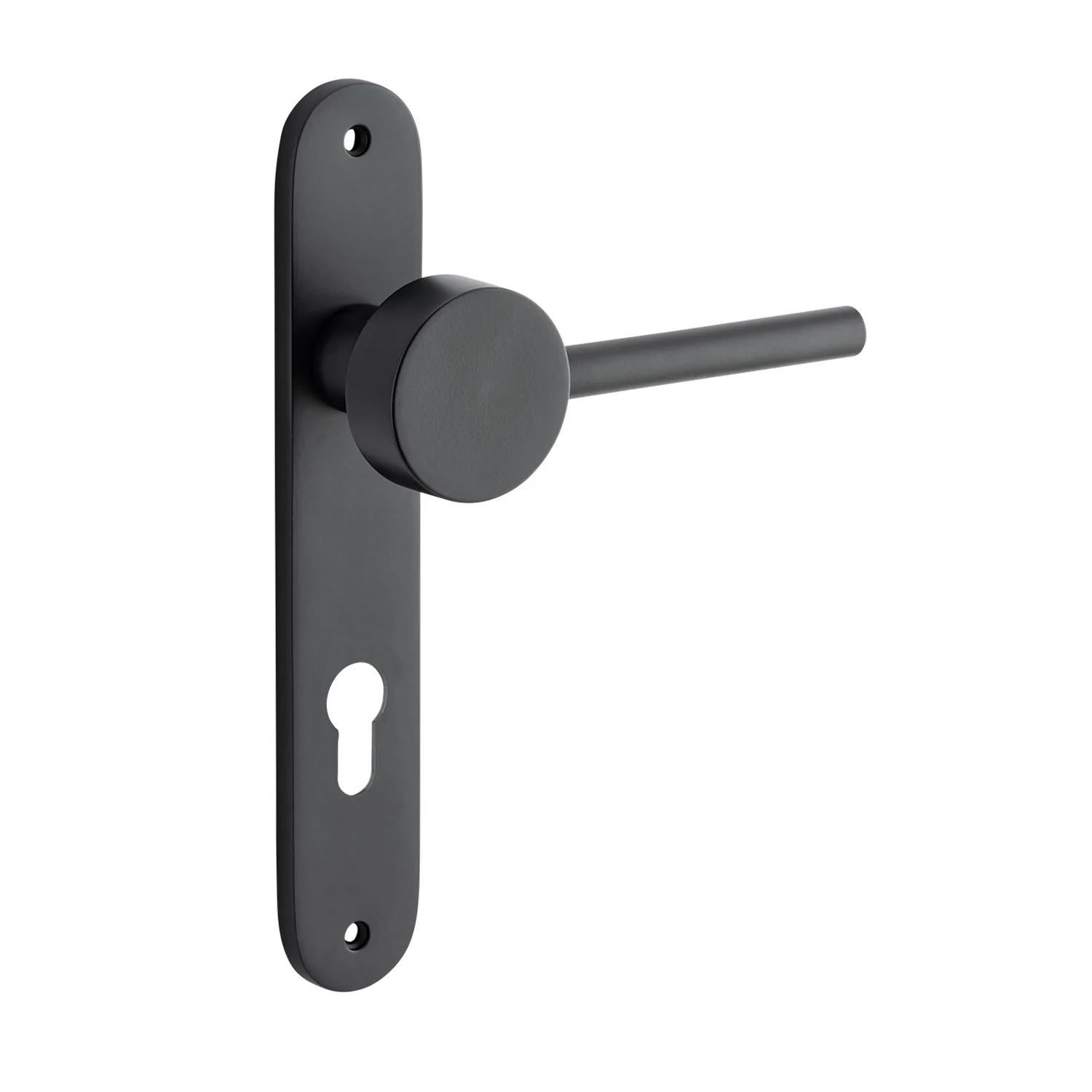 Bankston Sans Arc Gepetto Door Lever on Oval Backplate - Image 6