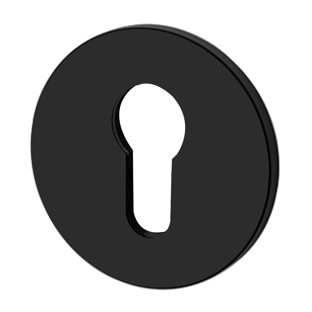 Buster and Punch Escutcheon Plate Euro Profile - Available in Various Finishes - Image 5