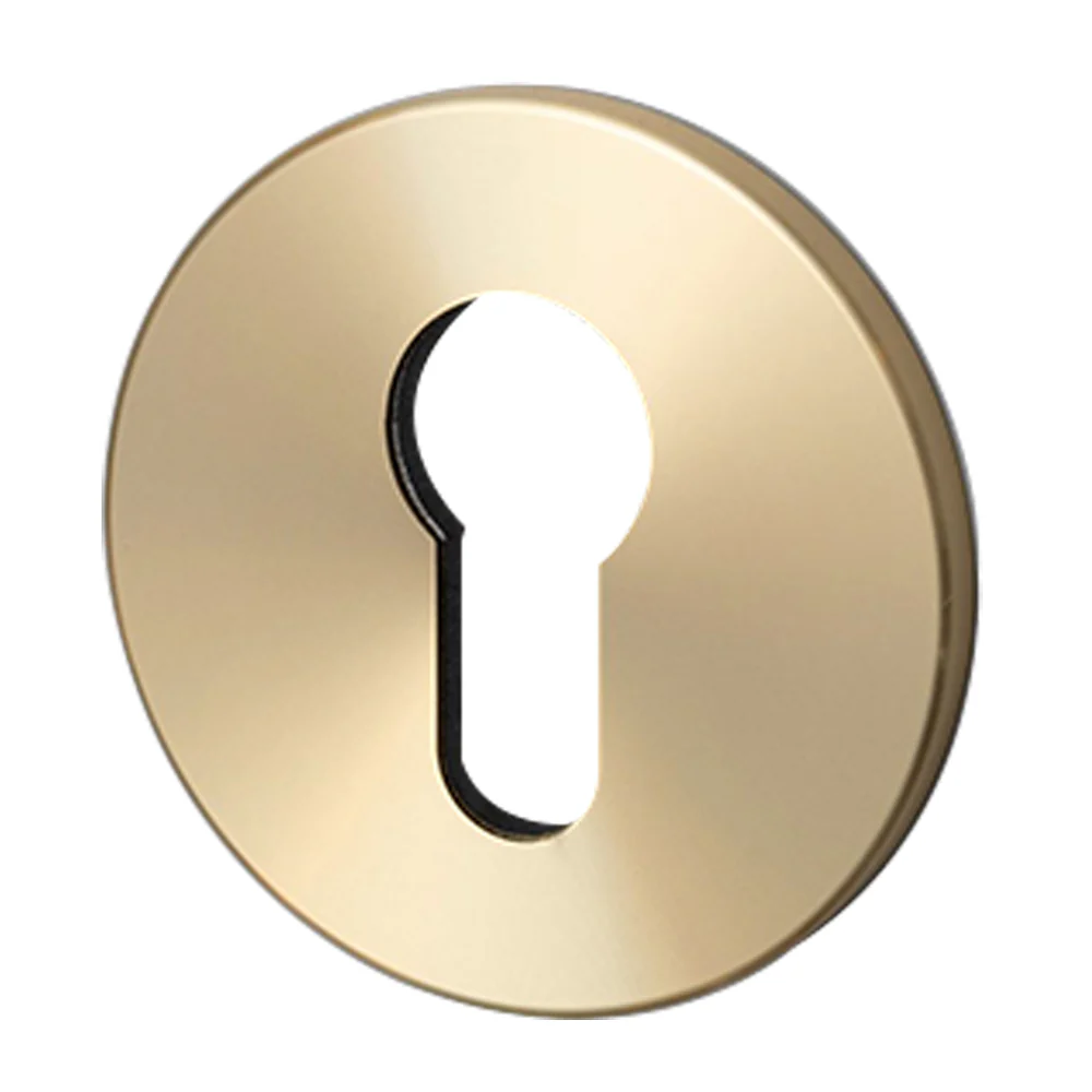 Buster and Punch Escutcheon Plate Euro Profile - Available in Various Finishes - Image 6