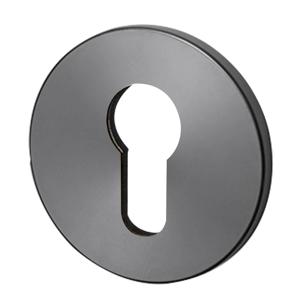 Buster and Punch Escutcheon Plate Euro Profile - Available in Various Finishes - Image 7