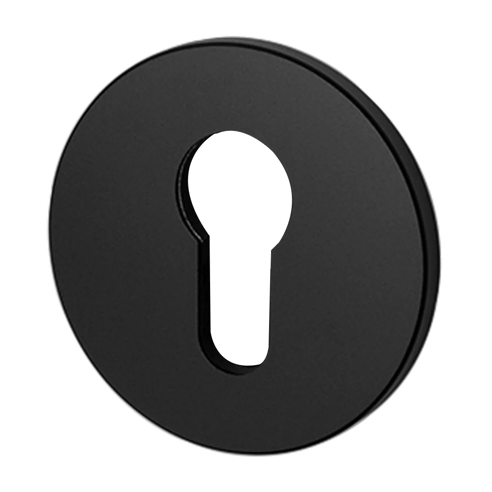 Buster and Punch Escutcheon Plate Euro Profile - Available in Various Finishes - Image 9