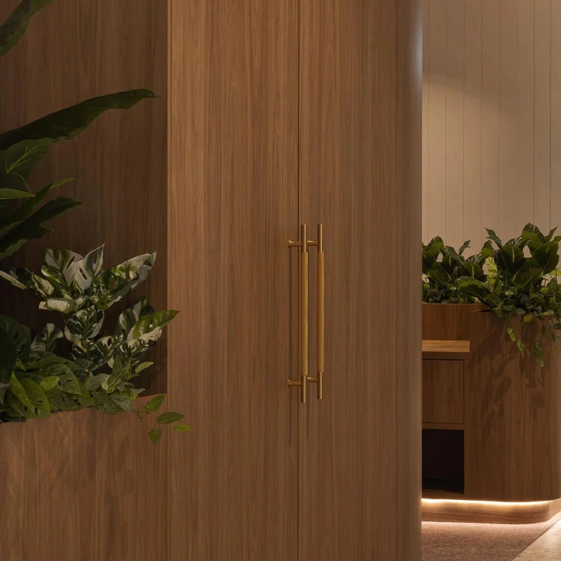 Castella Grove Door Pull Handle - Available in Various Finishes and Fixings - Image 2