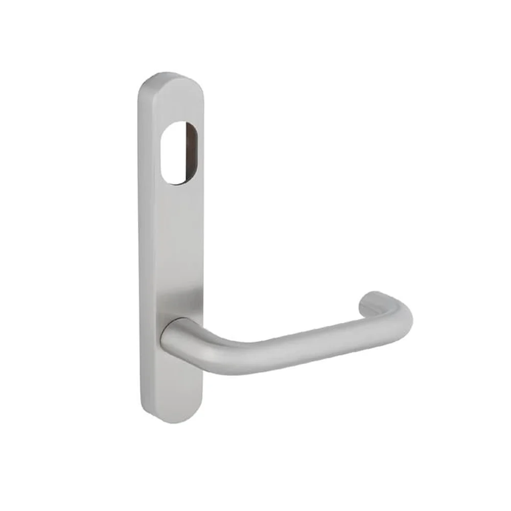 Gone Gone 06/25 use DORM650070SS - Dormakaba Door Lever on External Narrow Style Round End Plate with Cyl Hole SSS 6500/30G