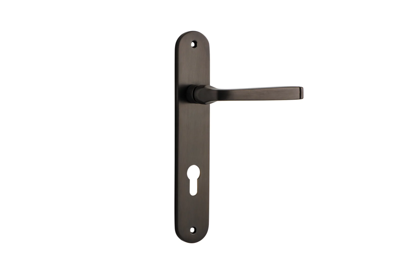 Iver Annecy Door Lever Handle on Oval Backplate Signature Brass - Image 3