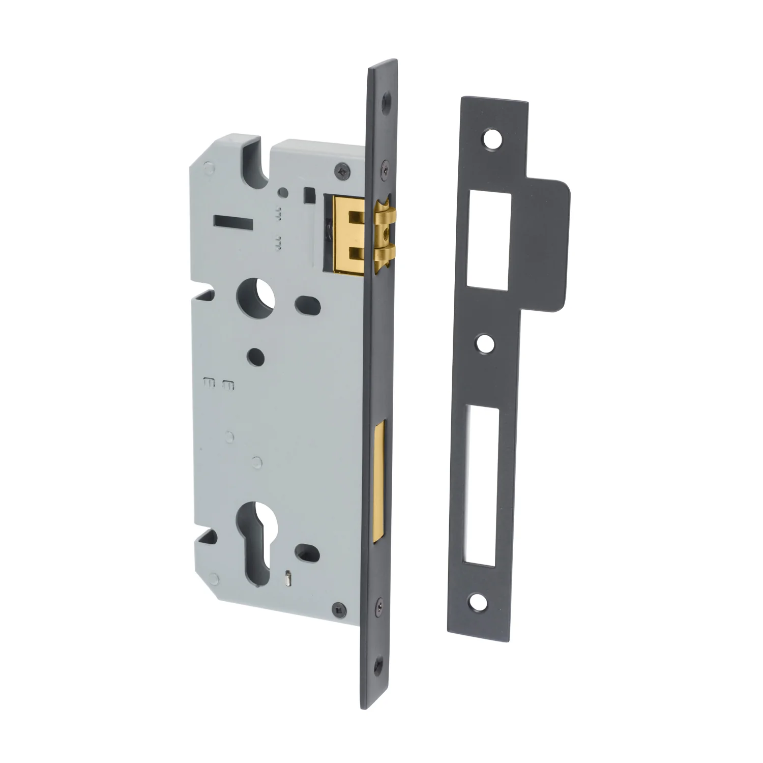 Iver Euro Roller Mortice Lock - Available In Various Finishes and Sizes - Image 11