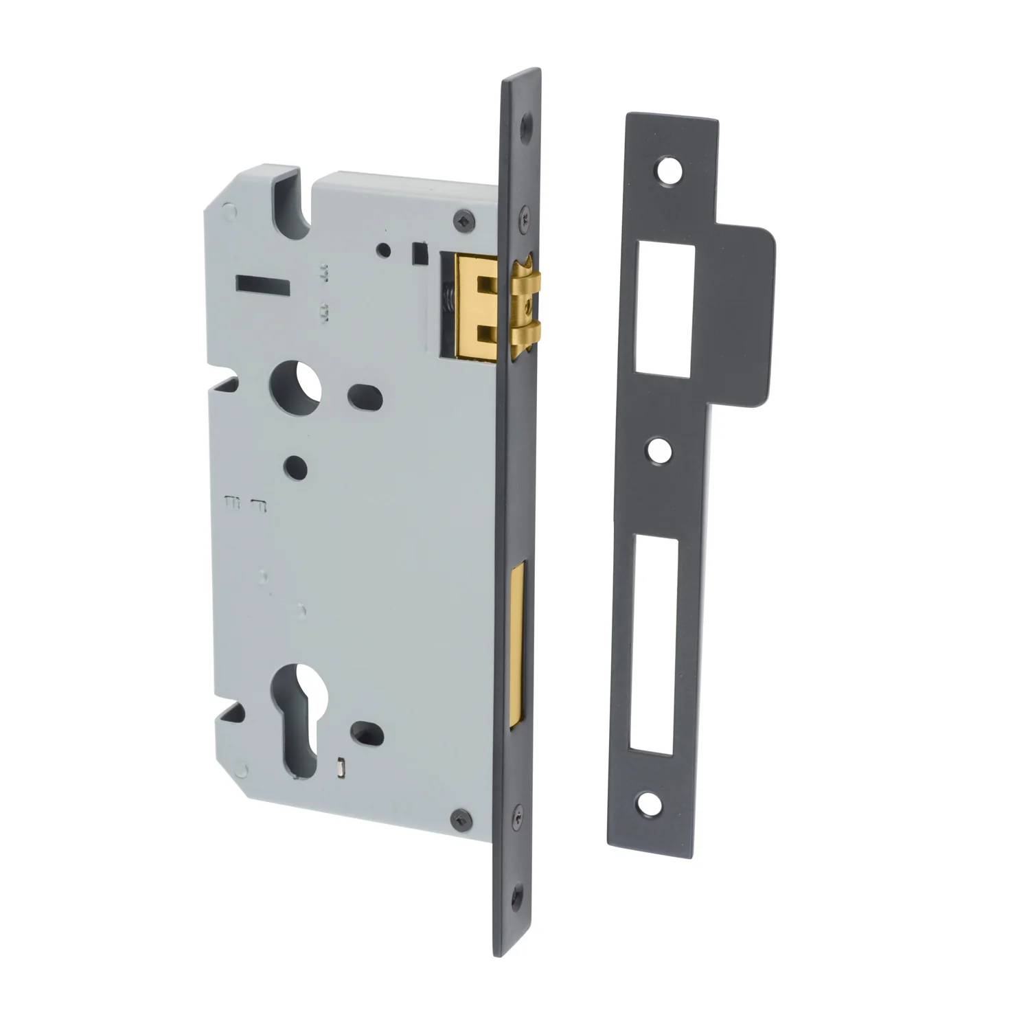 Iver Euro Roller Mortice Lock - Available In Various Finishes and Sizes - Image 12