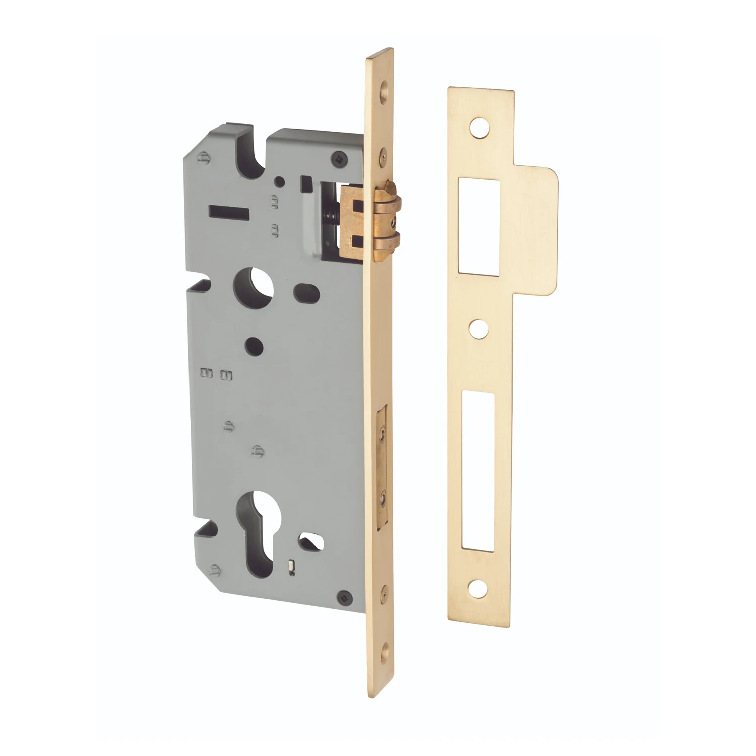 Iver Euro Roller Mortice Lock - Available In Various Finishes and Sizes - Image 19