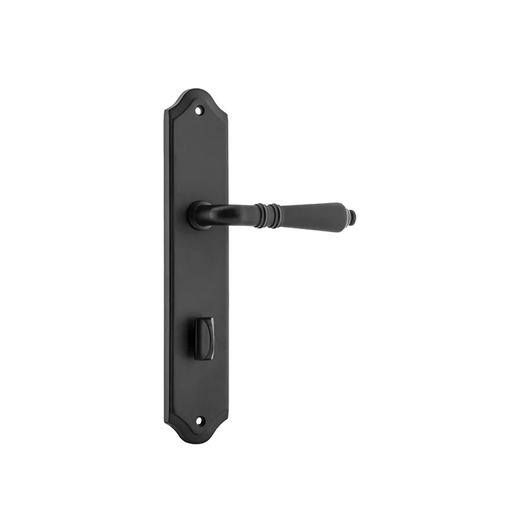 Iver Sarlat Lever Door Handle on Shouldered Backplate Matt Black - Image 6