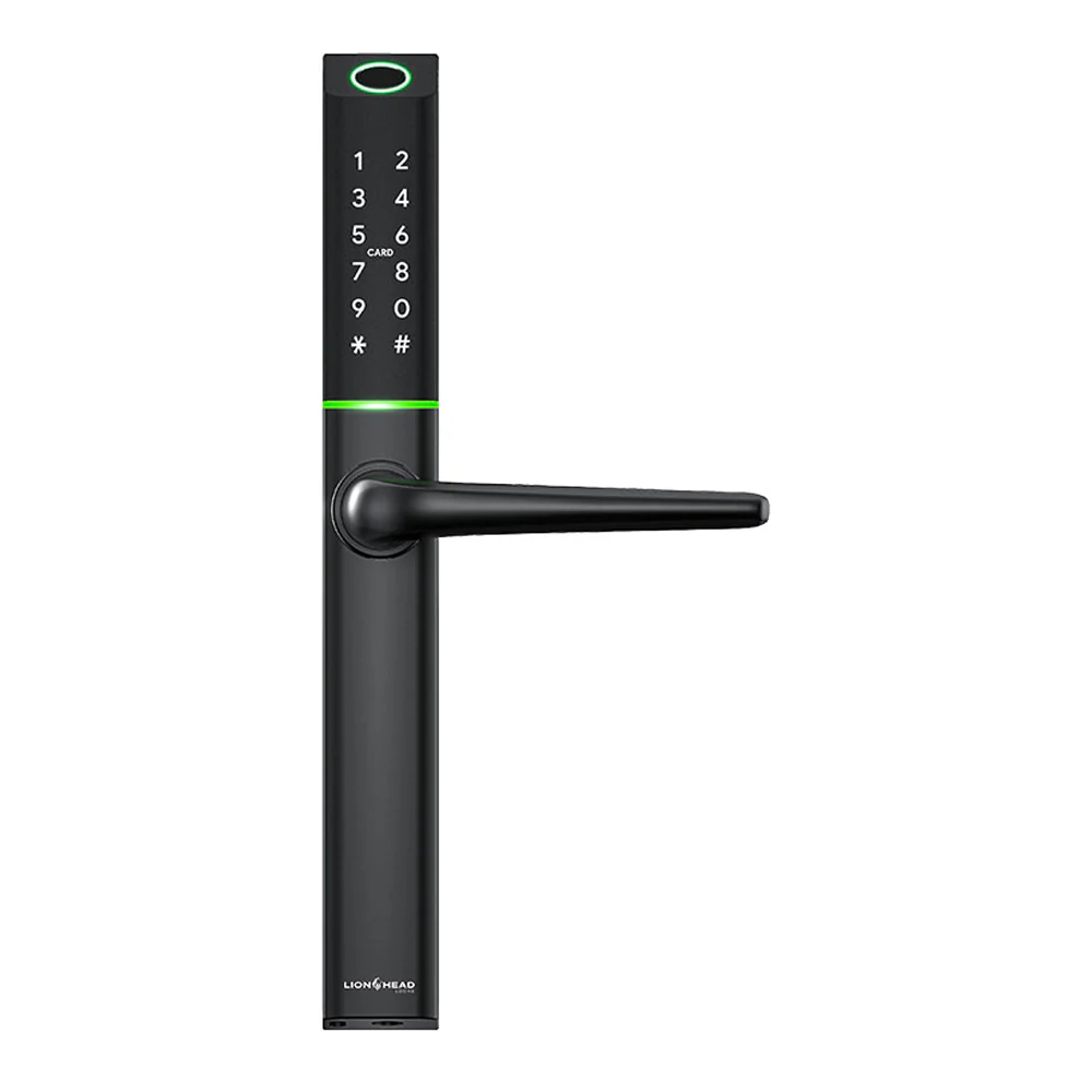 Lion Head Aspen Luxe Digital Slimline Entrance Door Lock - Available in Black and Silver Finish - Image 3