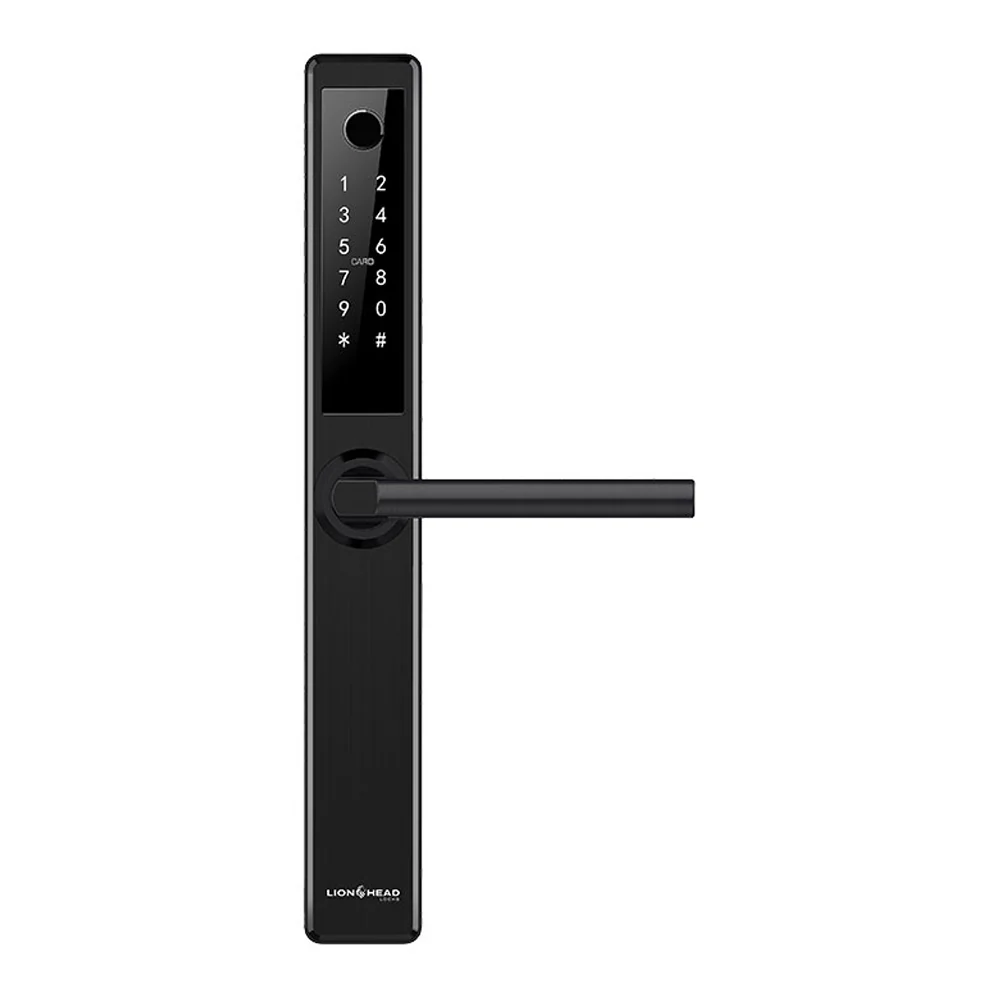 Lion Head Erskine Luxe Digital Slimline Entrance Door Lock - Available in Black and Silver Finish - Image 4