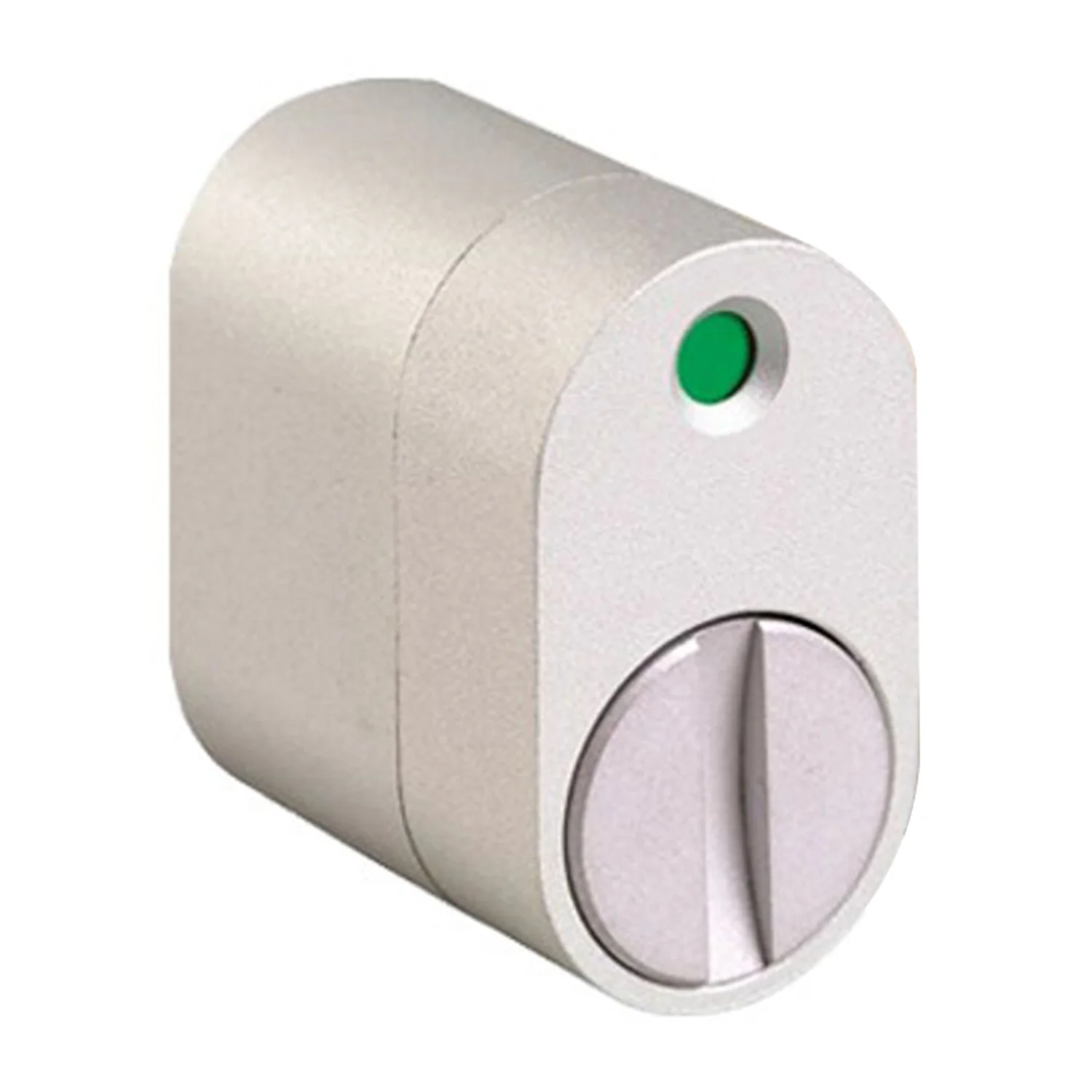 Lockwood Robert Watson Oval Privacy Indicating Emergency Release Satin Anodised RW14SA