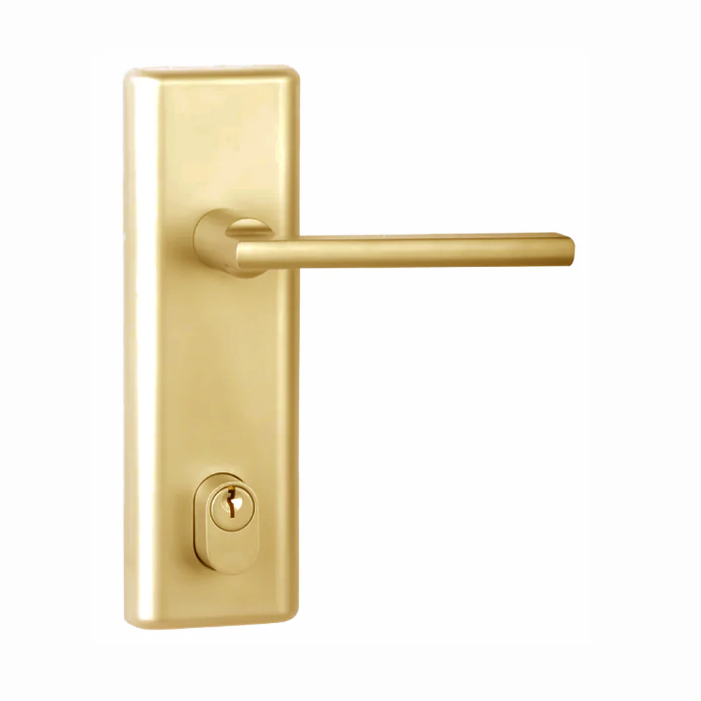 N2lok Infinity Decorus Door Lever Handle Multifunction Entry Set - Available in Various Finishes - Image 5