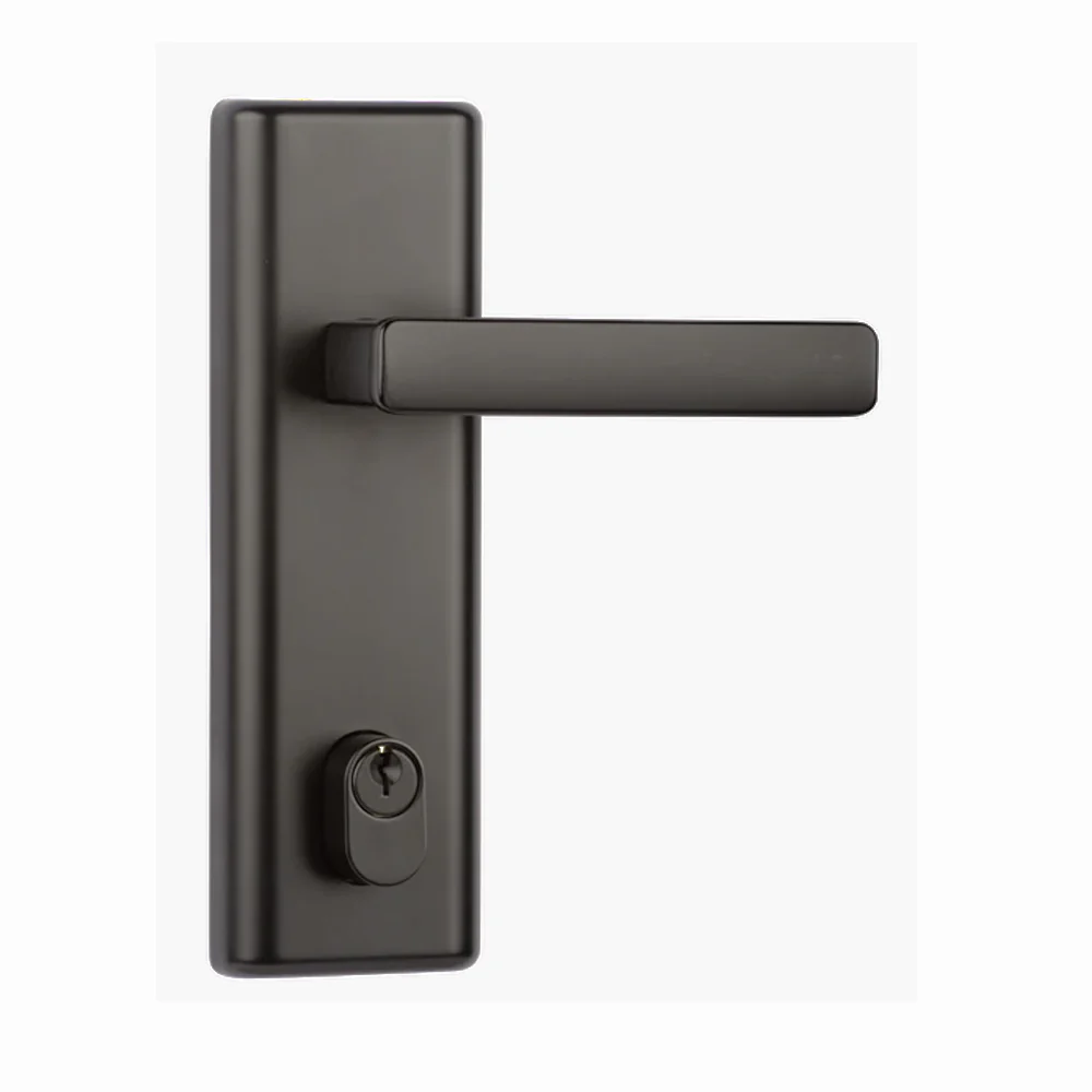 N2lok Infinity Vitus Door Lever Handle Multifunction Entry Set - Available in Various Finishes - Image 3