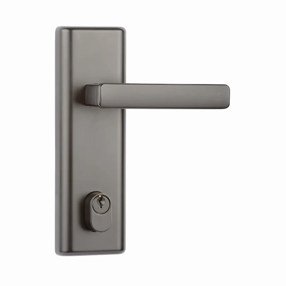 N2lok Infinity Vitus Door Lever Handle Multifunction Entry Set - Available in Various Finishes - Image 6