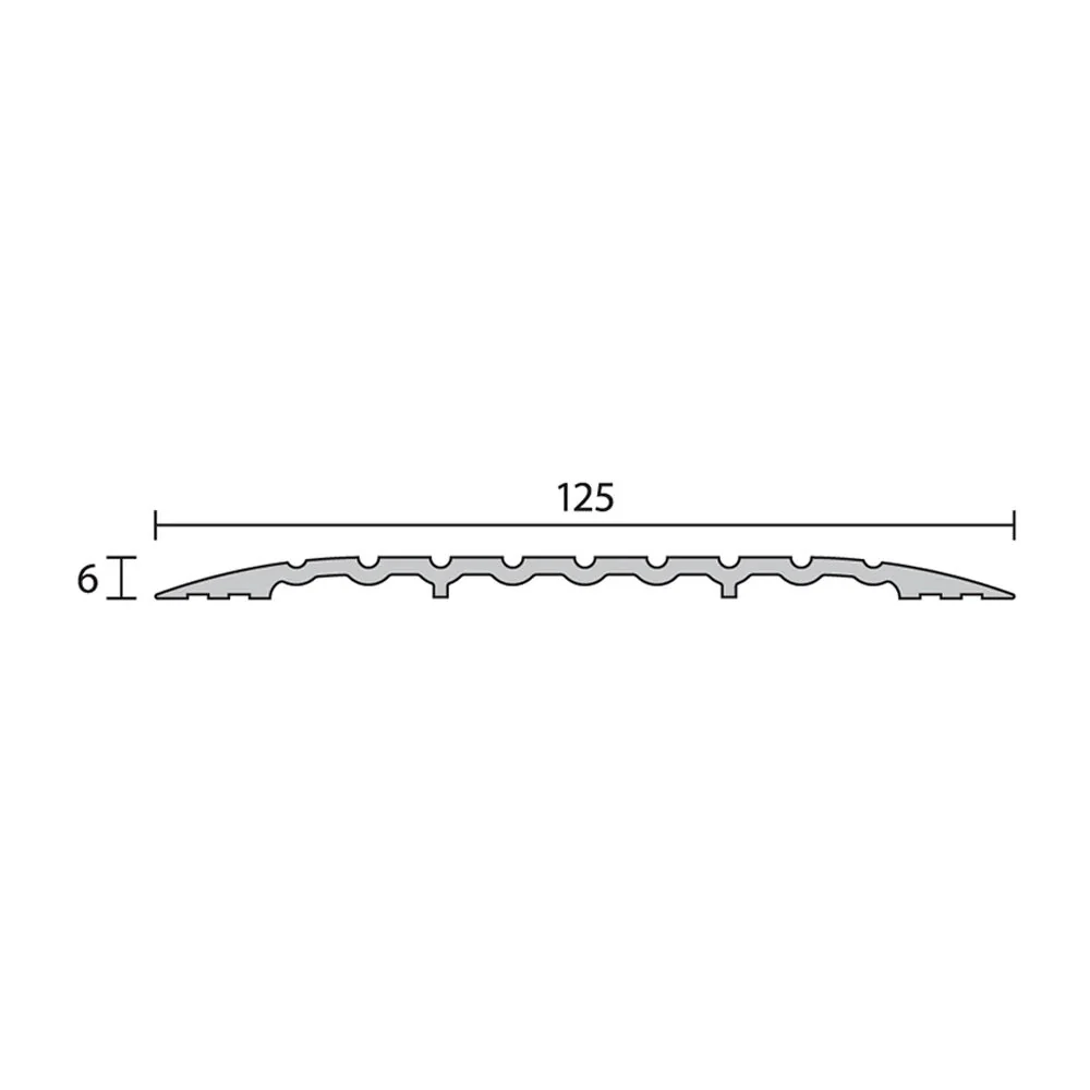 Raven RP151 Threshold Plate Silver Anodised - Available in Various Sizes - Image 2