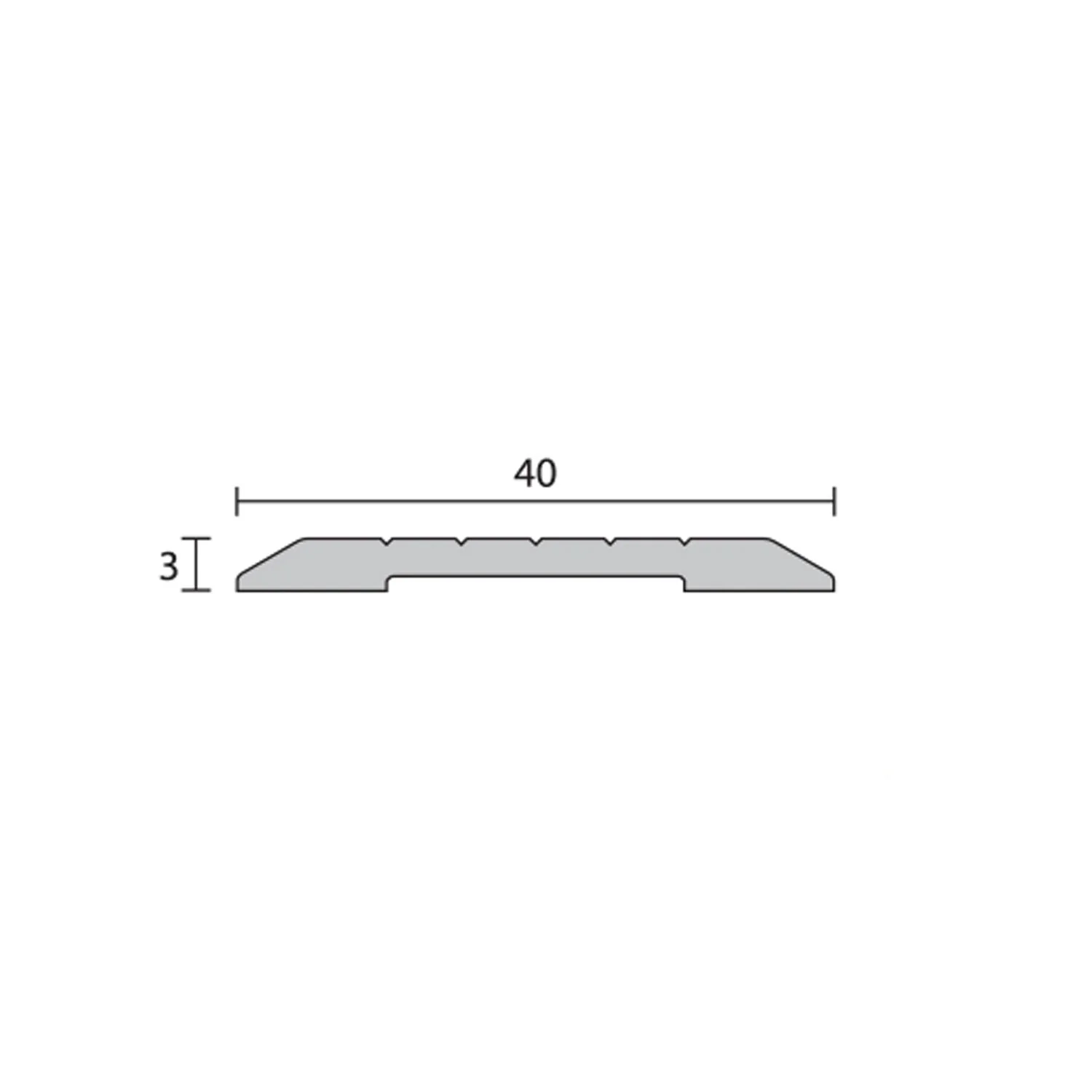 Raven RP95 Threshold Plate - Available in Various sizes & Finishes - Image 4