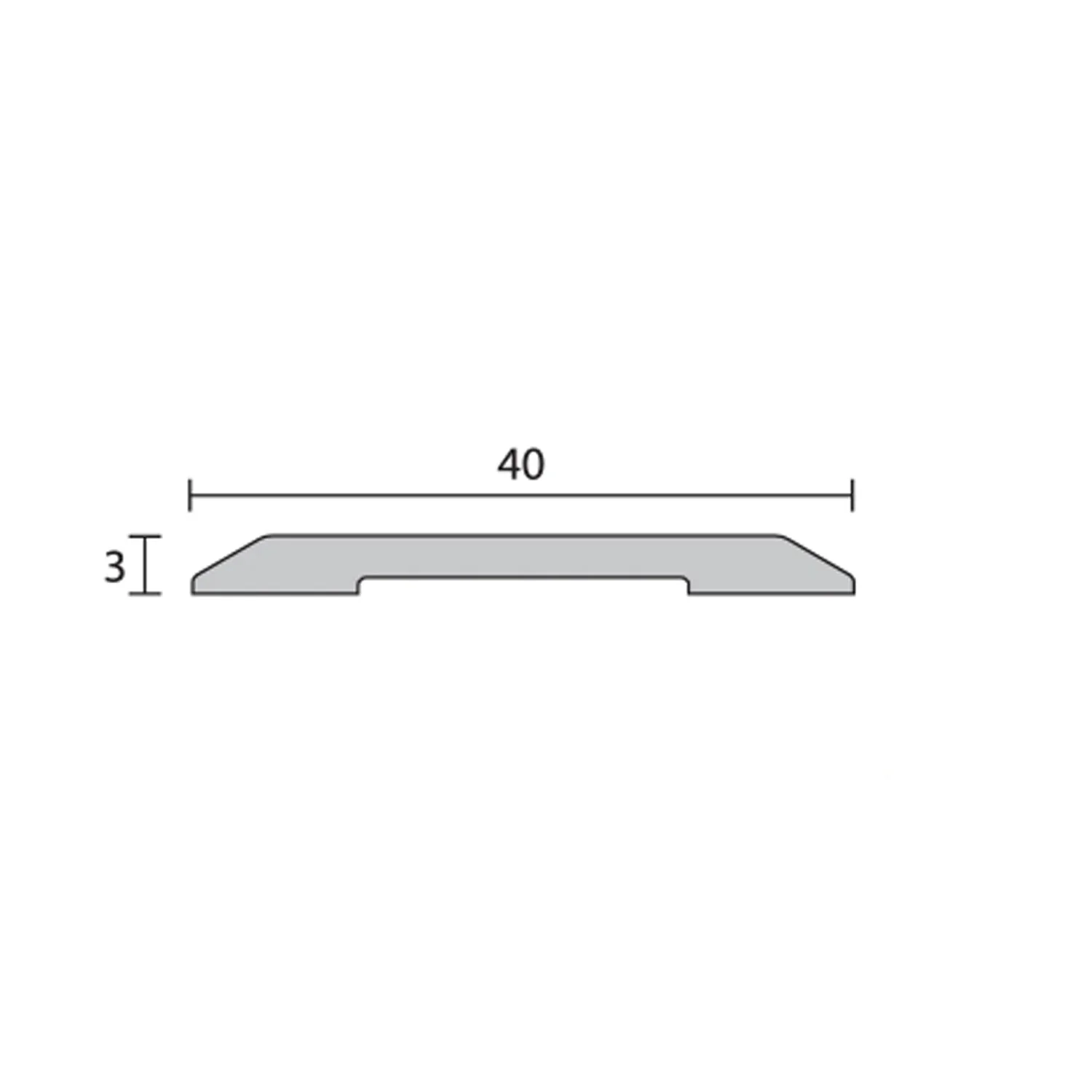Raven RP96 Threshold Plate 2000mm Silver Anodised A96C2000 - Image 3