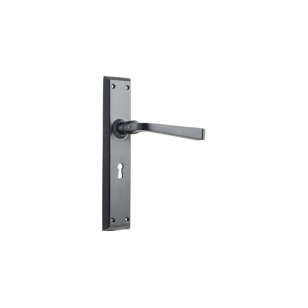 Tradco Menton Lever Door Handle on Long Backplate Matt Black - Image 5