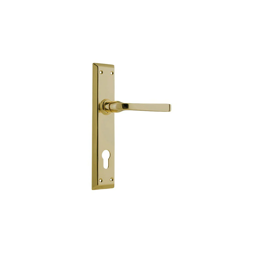Tradco Menton Lever Door Handle on Long Backplate Polished Brass - Image 2