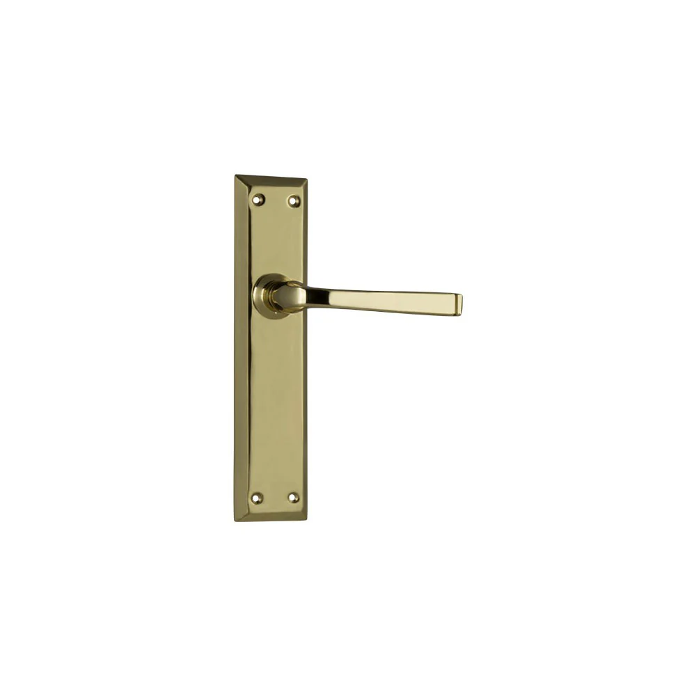 Tradco Menton Lever Door Handle on Long Backplate Polished Brass - Image 4