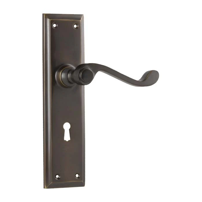 Tradco Milton Lever Door Handle on Long Backplate Antique Brass - Image 5