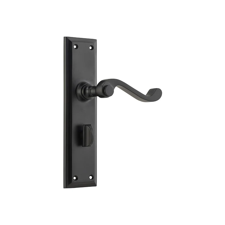 Tradco Milton Lever Door Handle on Long Backplate Matt Black - Image 4