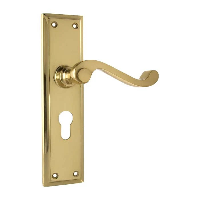 Tradco Milton Lever Door Handle on Long Backplate Polished Brass - Image 2