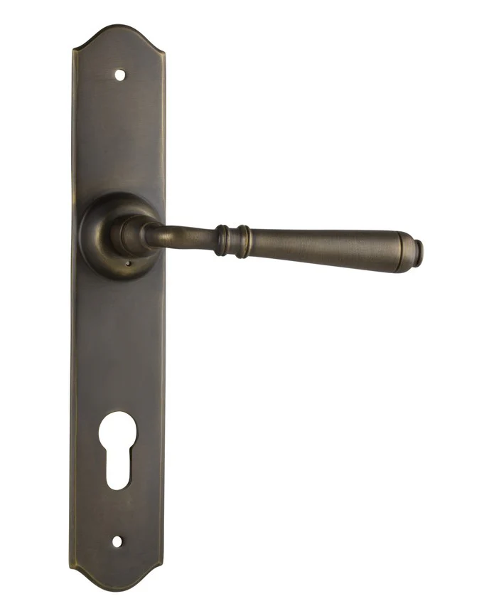 Tradco Reims Lever Door Handle on Long Backplate Antique Brass - Image 3
