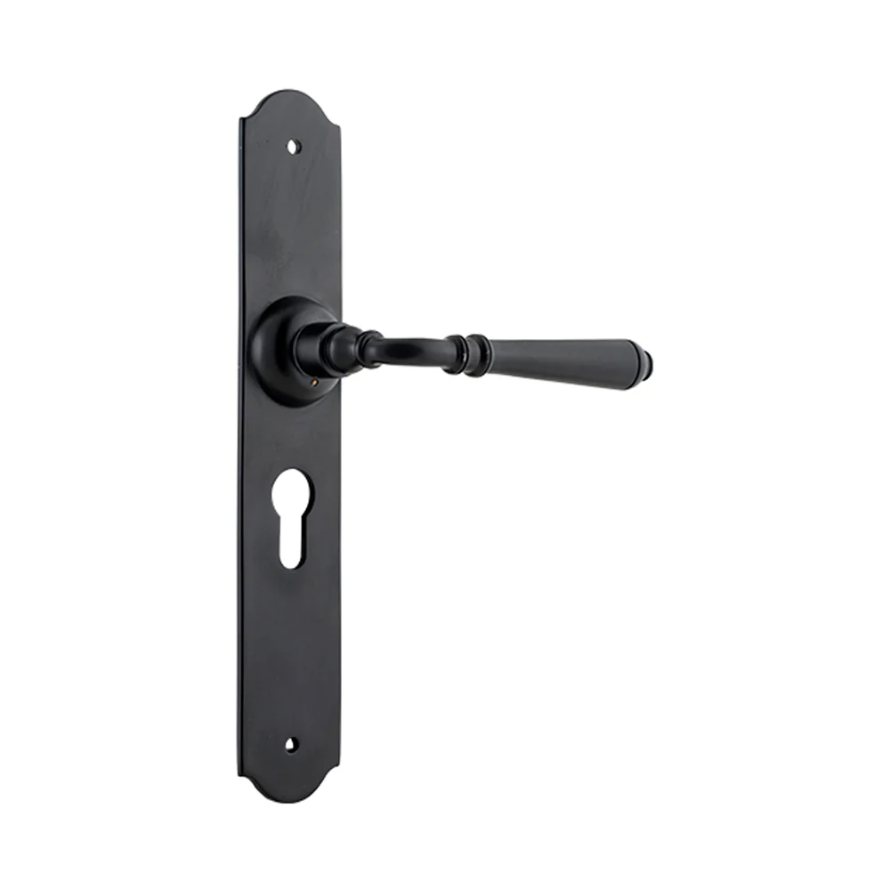 Tradco Reims Lever Door Handle on Long Backplate Matt Black - Image 3