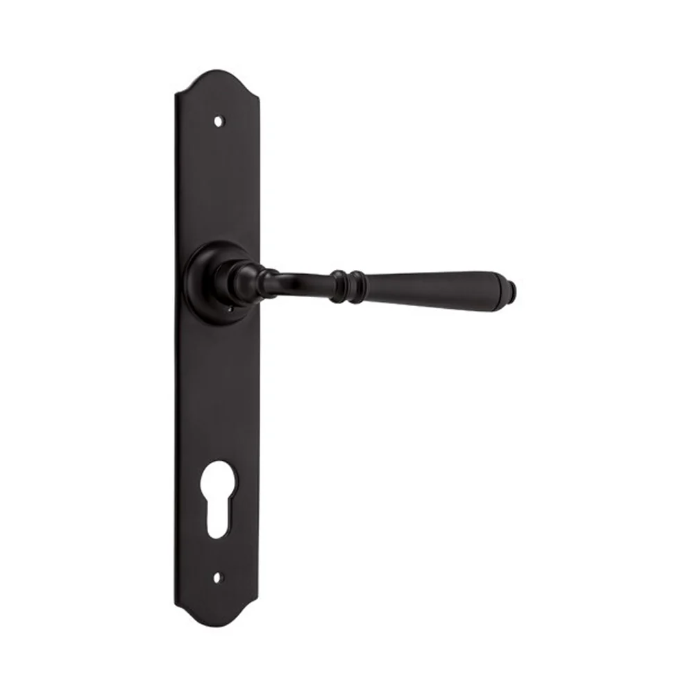 Tradco Reims Lever Door Handle on Long Backplate Matt Black - Image 4