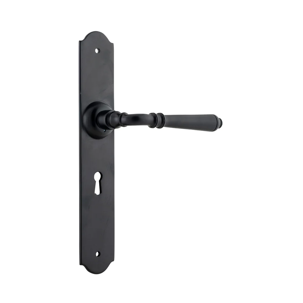 Tradco Reims Lever Door Handle on Long Backplate Matt Black - Image 6