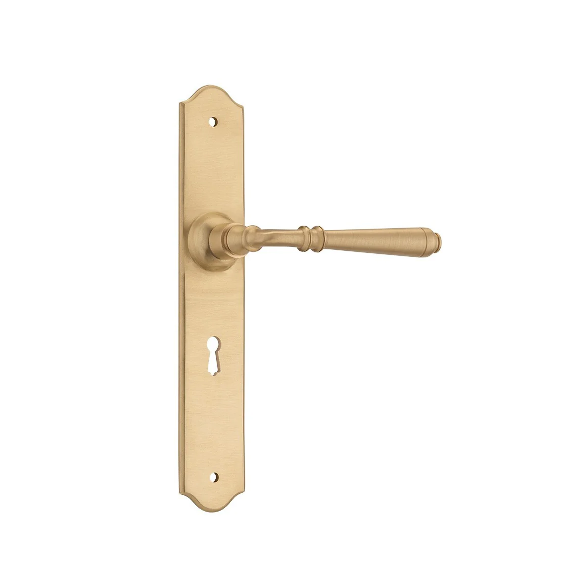 Tradco Reims Lever Door Handle on Long Backplate Satin Brass - Image 3