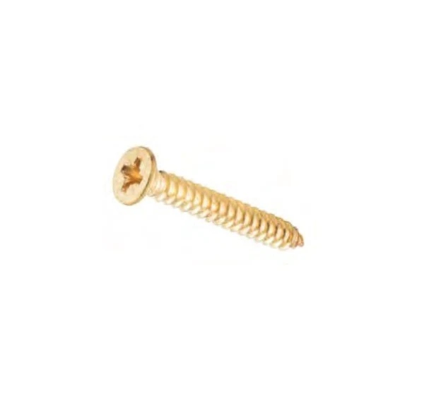 Tradco SCHINGEPB25+ Hinge Screw Polished Brass Pack of 50 - Image 2