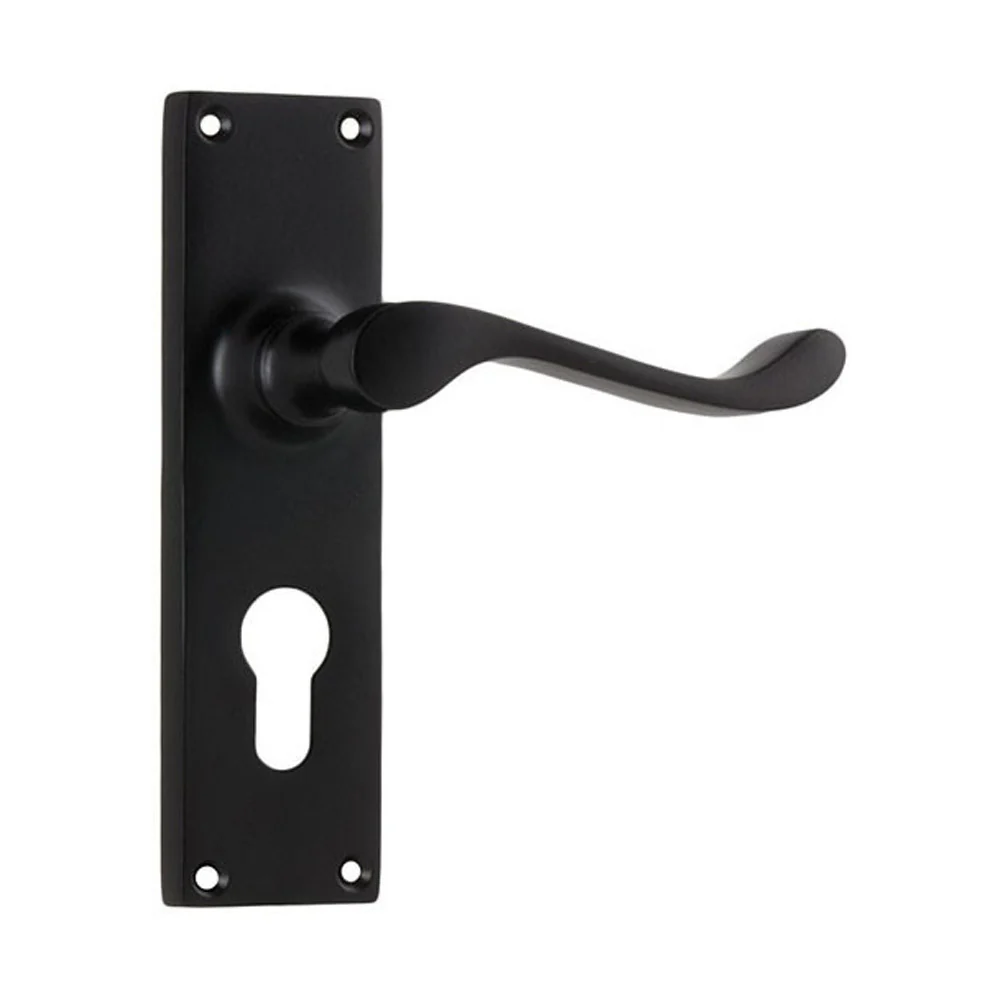 Tradco Victorian Lever Door Handle on Long Backplate Matt Black - Available in Various Functions - Image 4